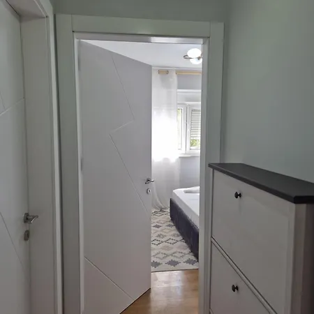 Mosaic Cane 2 ティラナ