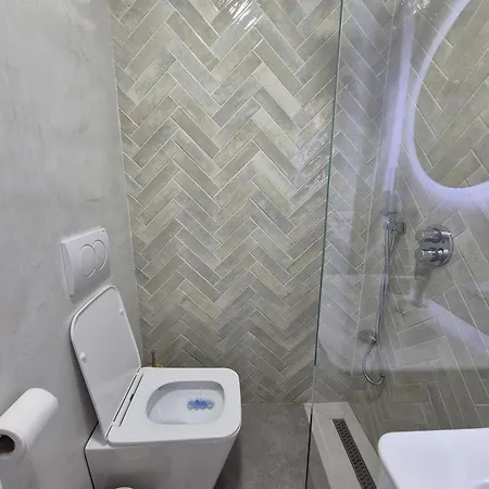 Mosaic Cane 2 Appartement Tirana