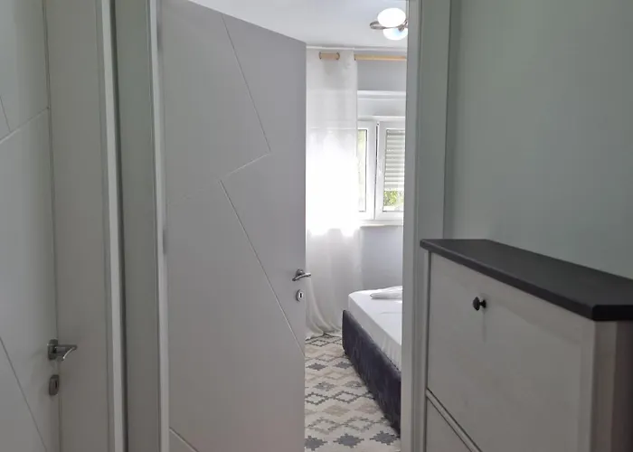 Mosaic Cane 2 Tirana